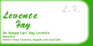 levente hay business card